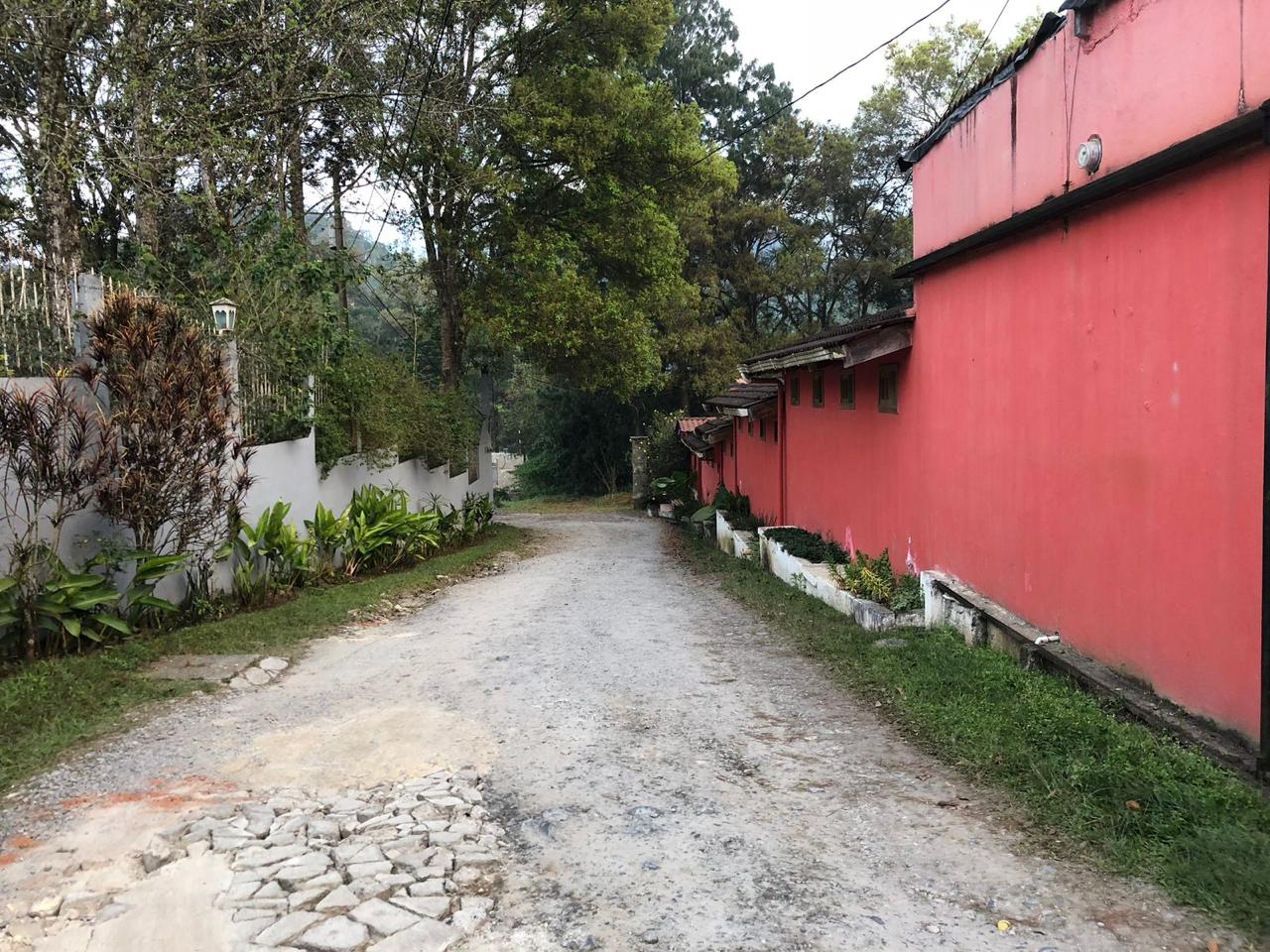 Camino de entrada al hotel