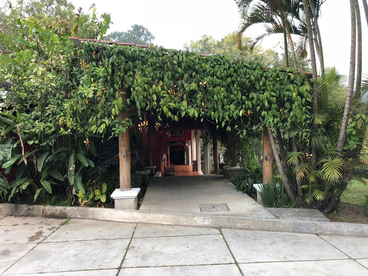 Pergola con enredaderas floridas
